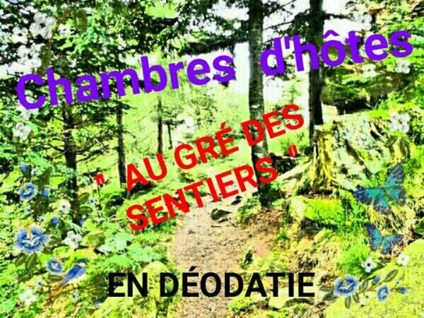Au Gre Des Sentiers Chez Marie Et Pierre Bed & Breakfast Saint-Die-des-Vosges Exterior photo